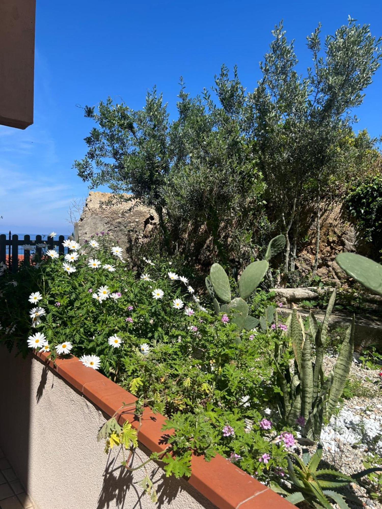 مبيت وإفطار Arcobaleno Tropea Centro المظهر الخارجي الصورة